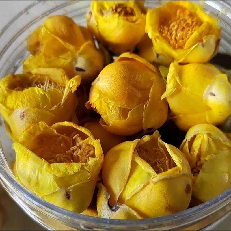 十万大山金花茶广西正宗天然花非野生冻干花防普正品养生茶非优级