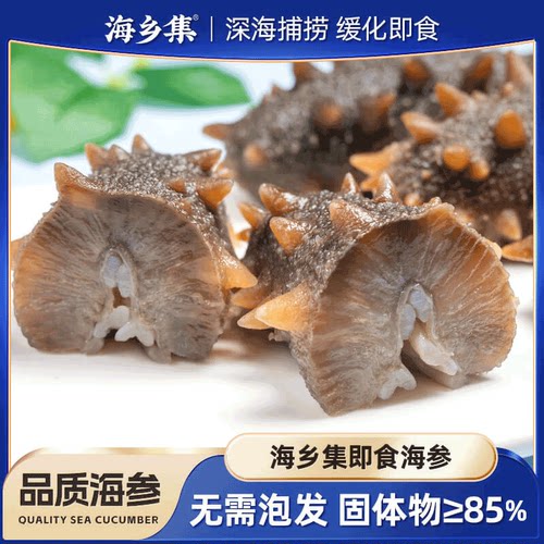 海乡集海参即食海参刺参大连辽参