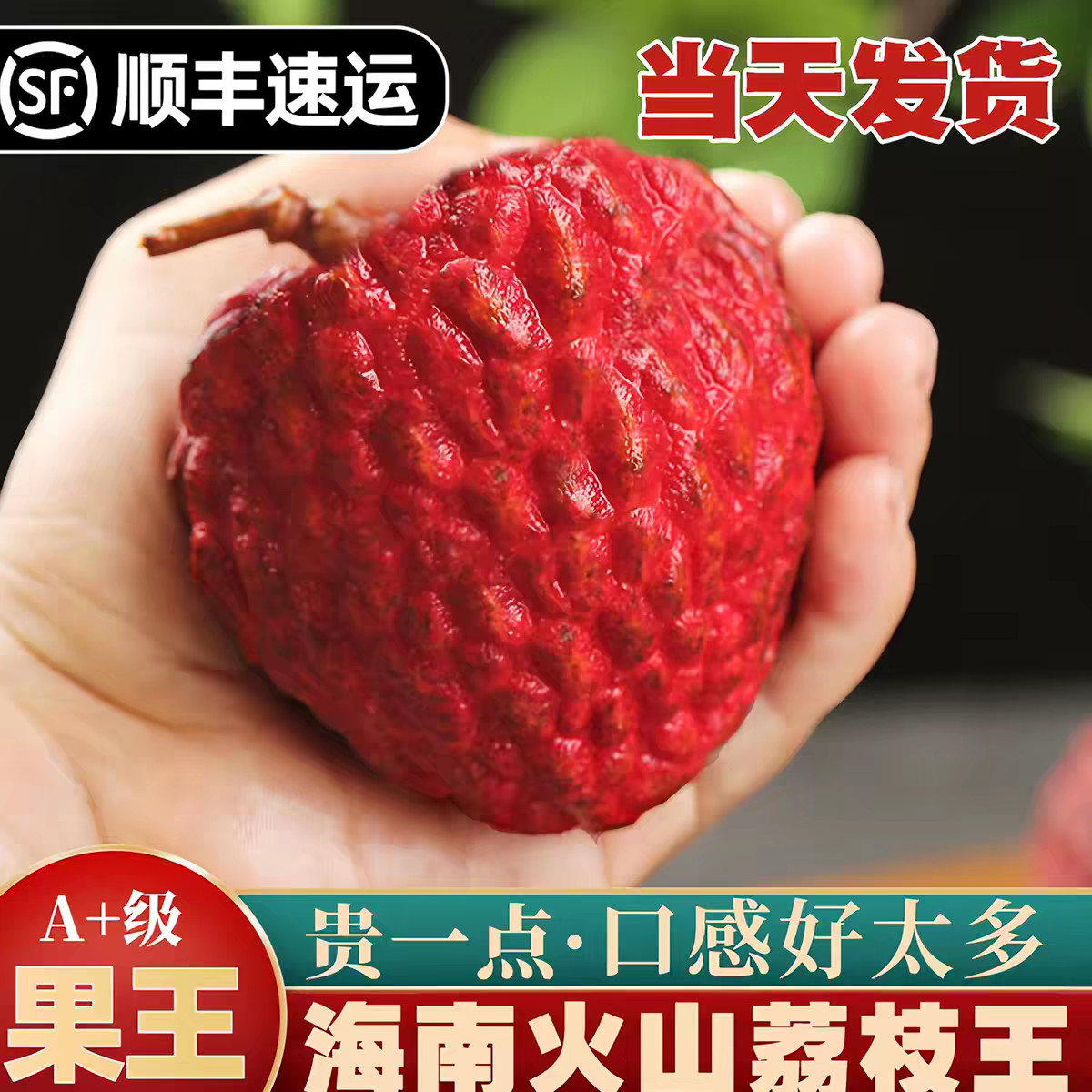 海南永兴火山荔枝王现摘现发新鲜大荔枝顺丰端午礼盒装火山岩超大