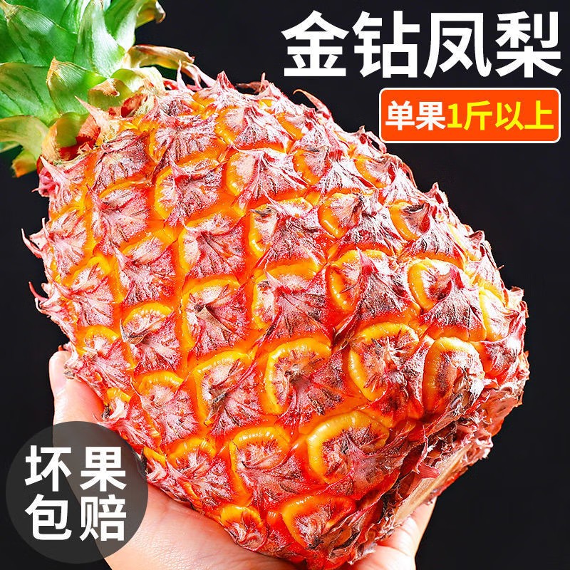 【海南直发】海南金钻凤梨