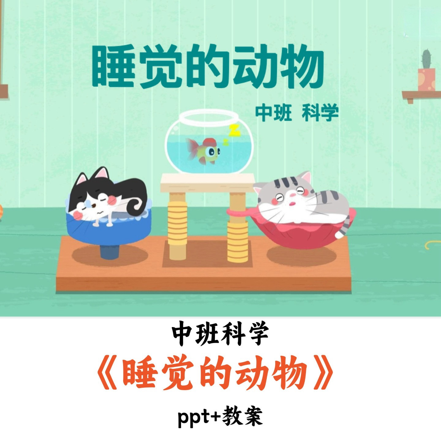 幼儿园中班科学《睡觉的动物》PPT教案视频优质公开课
