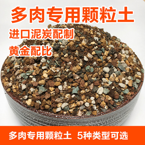 多肉专用土颗粒彩乐植铺面透气