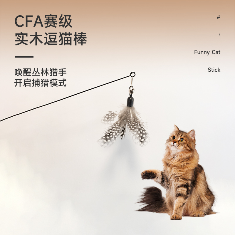 CFA逗猫棒赛级猫咪自嗨羽毛带铃铛猫玩具可替换头实木柄幼猫耐咬