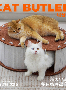 猫迷宫 S形钻洞躲避弯道隧道多出口躲猫猫玩具睡觉猫窝毛毡可磨爪