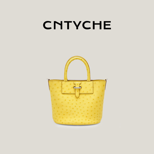 CNTYCHE全新鸵鸟皮菜篮子系列