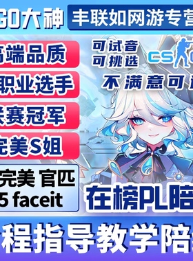 技术过硬丨csgo陪玩陪打陪练cs2教学5e完美b5官匹上分娱乐技术