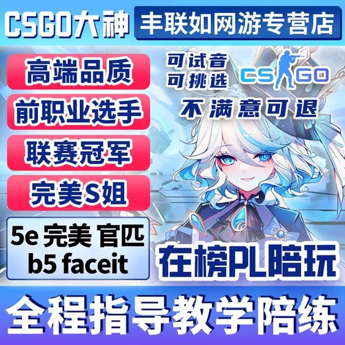 技术过硬丨csgo陪玩陪打陪练cs2教学5e完美b5官匹上分娱乐技术