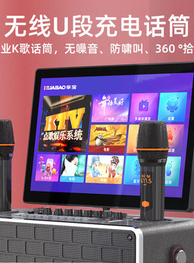 华宝T11卡拉OK音箱 户外KTV唱K一体机 8吋重低音音箱有显示屏