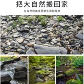 乌龟缸造景沙木纹石鱼缸装 饰石子石头专用天然原生溪流铁胆黑工砂