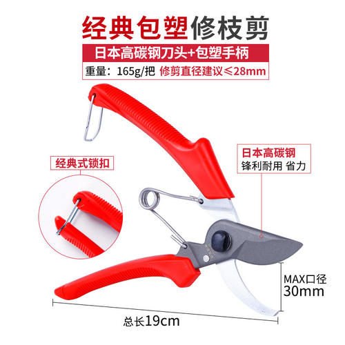 进口园林剪枝剪刀果树修枝剪刀园艺修剪树枝果树剪刀花剪省力剪