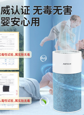 南科邦活性锰除甲醛净化剂 40坪以下新房除味处理 滤芯家用专业清