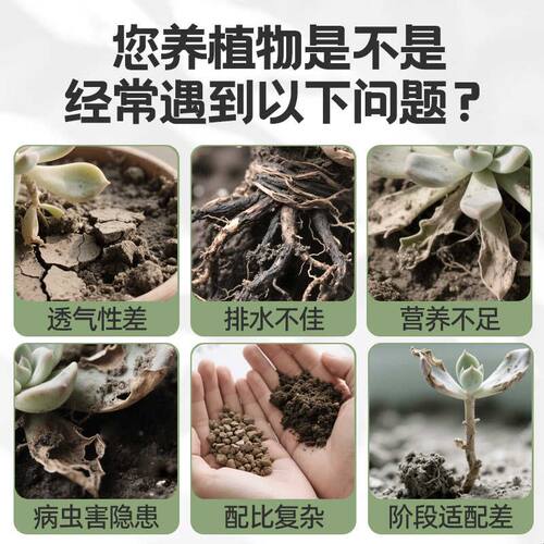 多肉专用颗粒土营养土养植物全土70透气泥炭土花土铺面石土壤