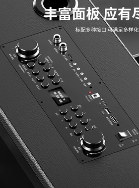 贝德音响视域系列1505户外K歌广场舞显示屏高端视频高清大屏音箱