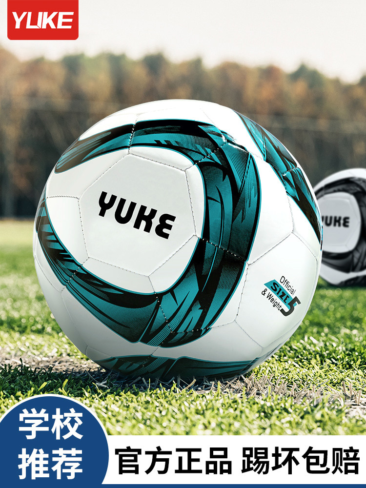 足球小学生专用球儿童4号5号初中生青少年成人中考专业正品训练球