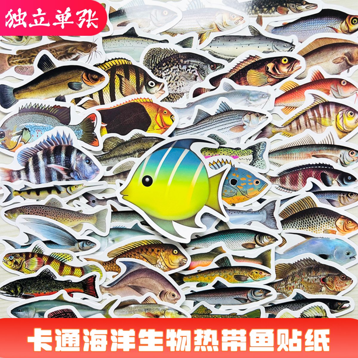 55张可爱卡通热带鱼贴纸海洋生物海龟鲨鱼水母章鱼防水装饰小贴画图片