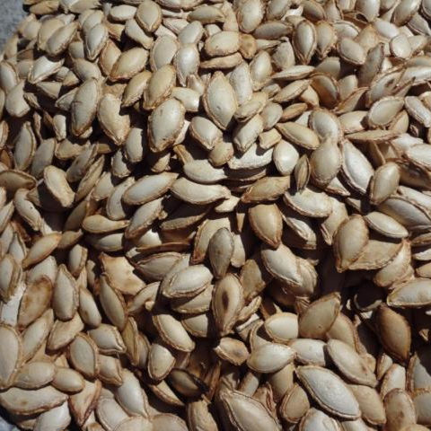 炒货新货毛边南瓜子颗粒饱满壳薄肉香纯手工炒制倭瓜土南瓜子250g