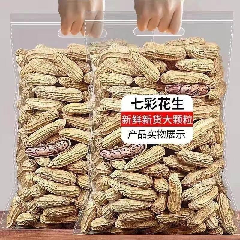 新货龙岩七彩湿烤花生熟果带壳水煮五香咸干香脆福建闽西特产正宗