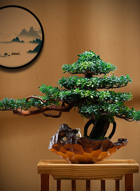 速发盆景新中式玄关摆件崖柏绿饰客厅博古架装植品客迎松盆栽