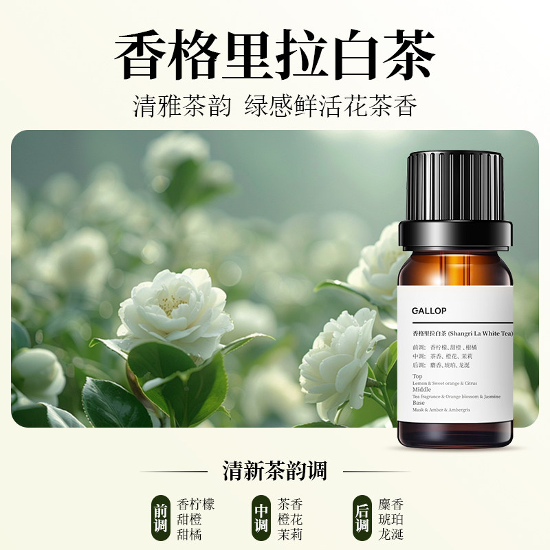 尘驰二流体香薰机专用精油香薰天然植物香氛扩香仪冷香香薰加湿器