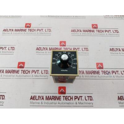 原装供应Tempatron Ft Tdd 计时器 0.5-5.0 分钟 24vdc