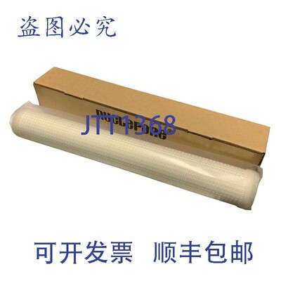 原装供应Nuclepore 过滤 611201 滤芯 .2UM 20 英寸(10 个)