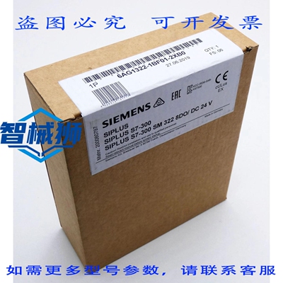 原装供应 SIPLUS S7-300 6AG1322-1BF01-2XB0 FS06 数字输出