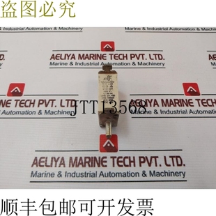 保護(hù)保險絲 供應(yīng)Df 63a 650v 原裝