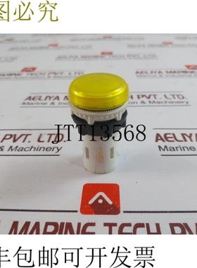 原装供应ESBEE 050516 黄色按钮 LED 彩虹 E 系列 240V AC