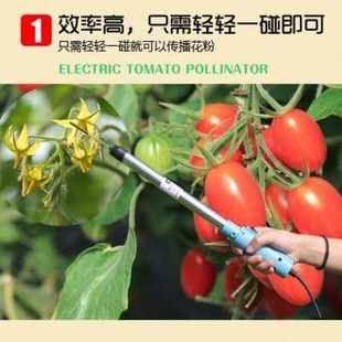 爆品厂销新款 番茄授粉器大棚番茄点花机点花器西红柿电动授粉器品