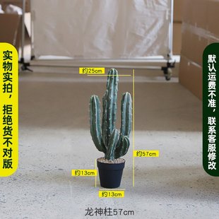 实物拍摄看到就是收到仿真仙人柱沙漠绿植仿生仙人掌假植物龙神柱