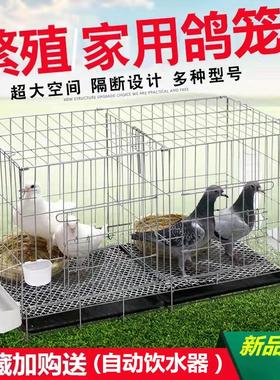速发折子笼带隔断家用大号笼子巢养殖笼鸽子配对鸽鸽叠繁殖笼