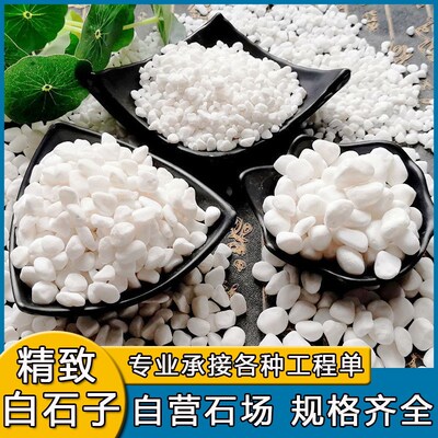 速发白色鹅卵石白色石子园林庭院白卵石家装铺面白石子景观美化造