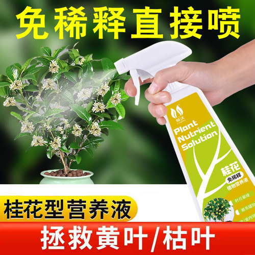 速发免稀释桂花肥树盆花料专用肥营养液家用桂栽养花绿植通用型肥