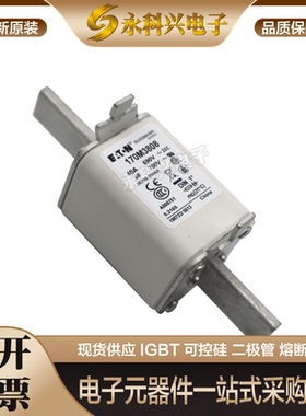 全新美国巴斯曼熔断器170M3163/3164/3165/3166/3167/3168/3169