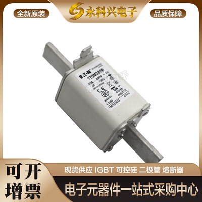 巴斯曼熔断器170M3163/3164/3165