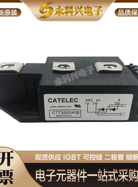 全新进口西班牙可控硅模块CTT320GK08PT/12PT/14PT/16PT/18PT现货