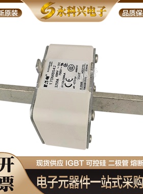 全新进口巴斯曼熔断器170M8542/8543/8544/3689/3690/3691/3692