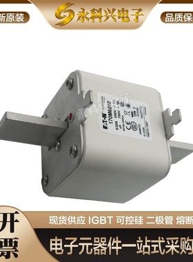 全新进口巴斯曼熔断器170M5699/5700/6688/6698/6699/6700/6701