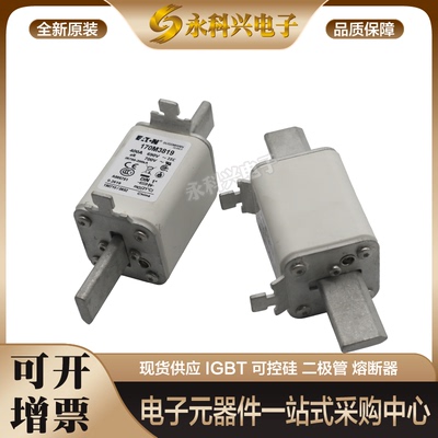 巴斯曼熔断器170M3816/3817/3818