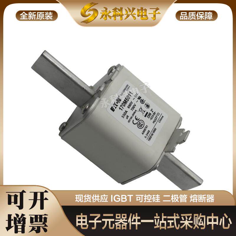 适用快速熔断器保险丝170M5925/5926/5927/5928/5929/5930/5931 - 实物图