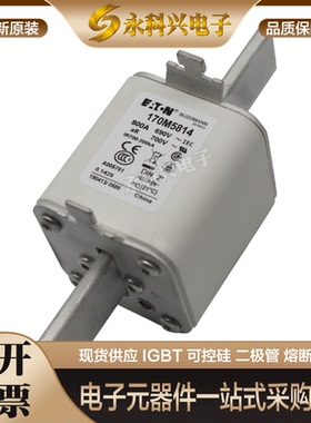 全新现货巴斯曼熔断器170M6596/6597/6598/6599/5494/5495/5496