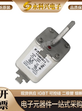 全新进口巴斯曼熔断器170M3769/3770/3771/3772/3773/4758/4759