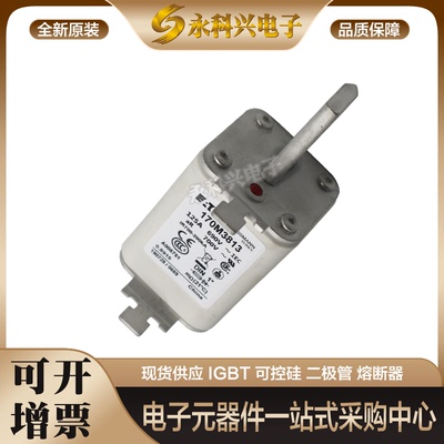 巴斯曼熔断器170M3769/3770/3771