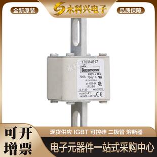 全新进口巴斯曼熔断器170M4615/4616/4617/4618/4619/5608/5609
