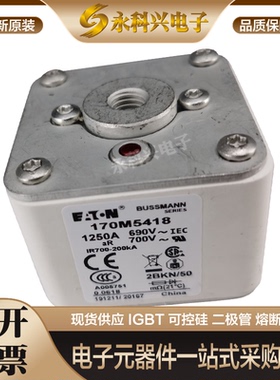 全新进口巴斯曼熔断器170M5563/5564/5565/5566/5567/5568/6558