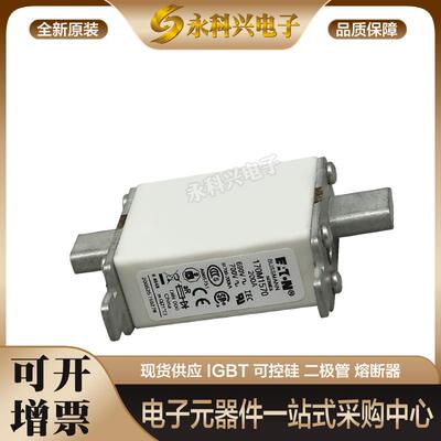 快速熔断器170M3267/3268/3269/3