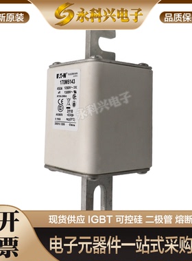 全新快速熔断器保险170M4309/4310/4311/4312/4313/4314/4315现货