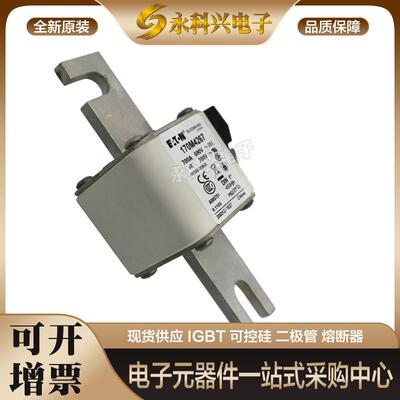 巴斯曼熔断器170M4266/4267/4268