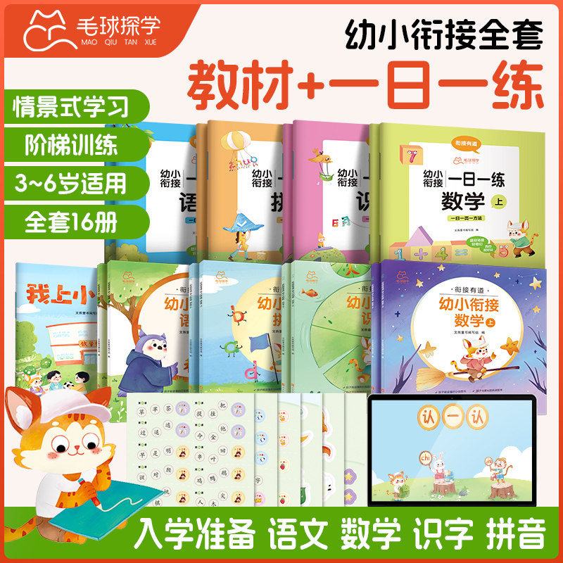 幼小衔接教材全套一日一练 幼升小衔接练习册 幼小衔接每日一练数学语文识字拼音书早教启蒙数独思维训练描红学前班幼儿园大班教材