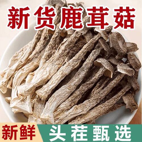 现摘新鲜鹿茸菇鲜活带根鹿茸菇火锅专用食材新鲜鹿茸菇